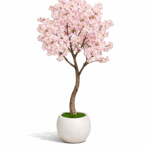 cherry blosssom flower final