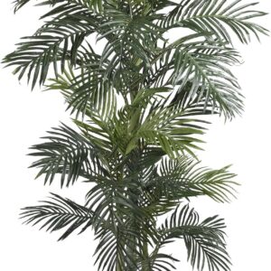 1 palm